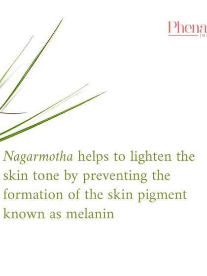 The Goodness of Nature photo 11