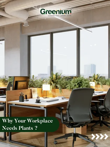 This image of a modern, open-plan office with plants scattered throughout asks, "Why does your workplace need plants?" It sets the stage for explaining the benefits of a green office.
