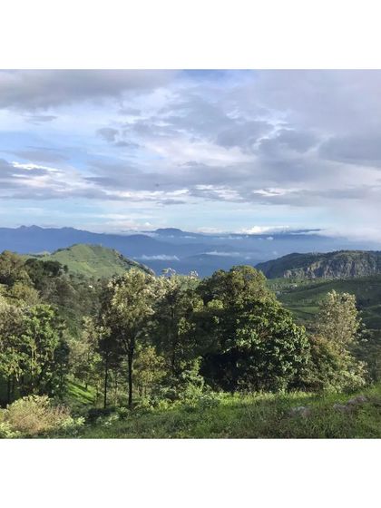 The stunning view from the site of our new Bengorm Estate home in Coonoor. The design process for this project begins with this incredible natural context.