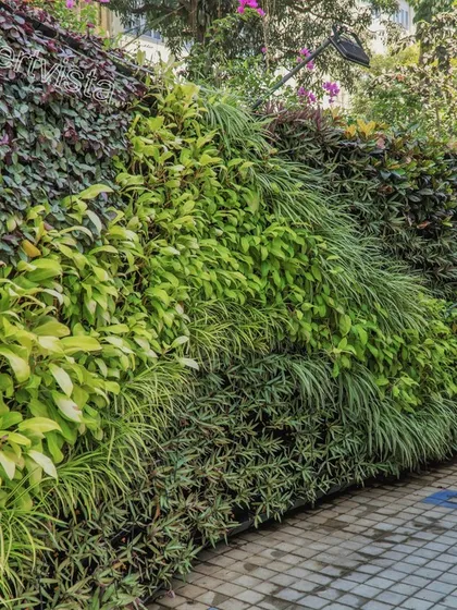 The artistry of our work is in the details. This outdoor green wall features a flowing wave pattern created by carefully selecting and arranging different plant varieties, demonstrating how we use nature as a medium for beautiful, large-scale designs.