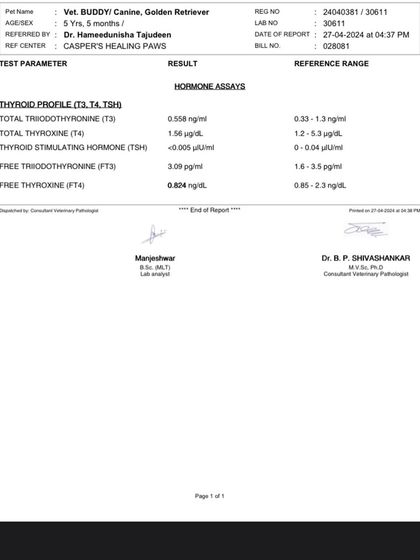 PL Paws - Animal Rescue & Rehabilitation How Your Donations Help: Our Medical Cases photo 7