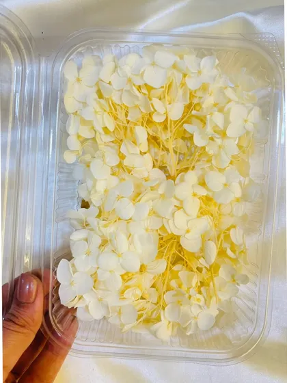 Our off-white dried hydrangea flowers are a versatile choice for any project. They can be used to create a classic look or combined with other colors for a custom palette.
