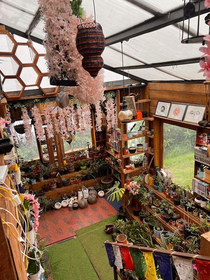 A beautiful shot of a plant and decor shop in Kodaikanal.