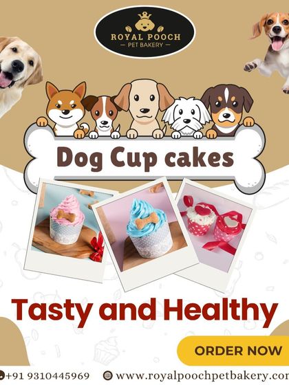 My dog cupcakes are a party favorite! This graphic showcases some of the fun and colorful designs I offer. They are a tasty and healthy way to celebrate your pup.