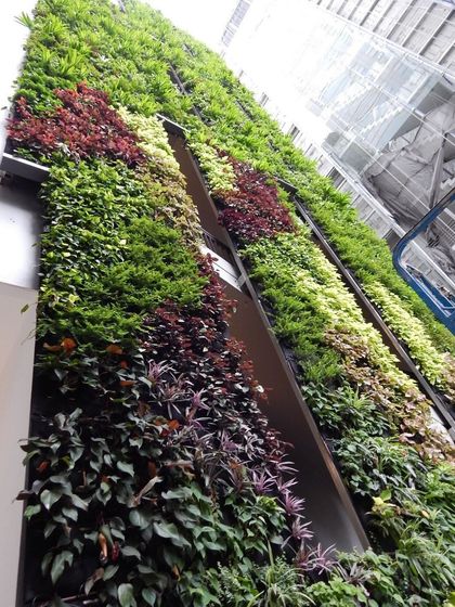 Green Walls for Offices & Businesses photo 3