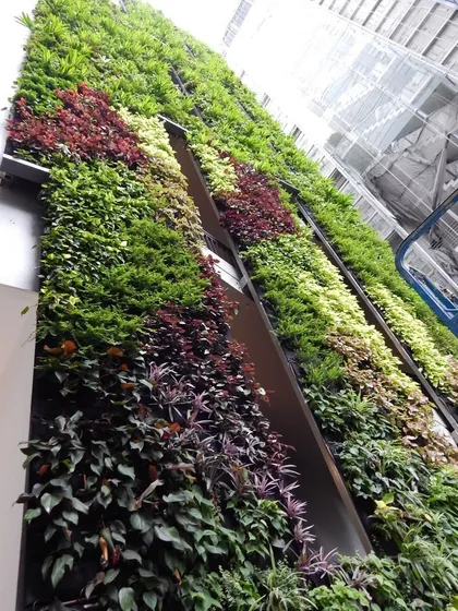 Looking up at a multi-story vertical garden on a corporate building. I can execute complex, large-scale designs that make a bold architectural statement.