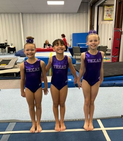 Fun & Fitness - Gymnastics & Tumbling Programs Our Champion Girls Teams photo 73