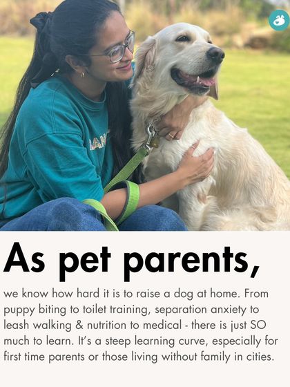 The Pack - Online Pet Parent Community Our Pack Addas: More Than Just a Walk photo 31