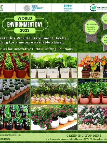 Greening Wonders - Corporate & Personal Plant Gifting Additional Work photo 18