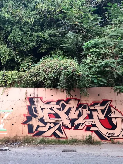 Another shot of the no-fill Devnagri piece. The raw energy of the black and red outlines against the concrete shows that sometimes less is more. It's all in the flow.