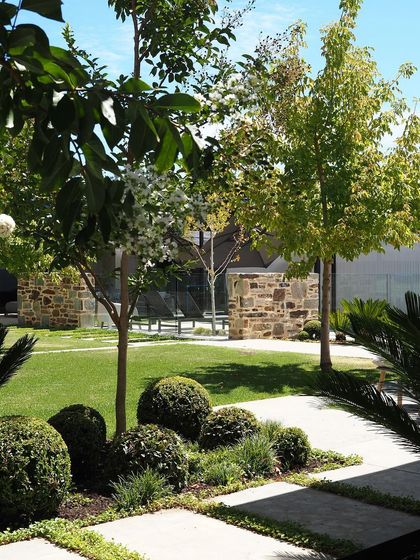 This modern garden design incorporates a rustic stone wall, blending contemporary lines with natural, rugged textures. The open lawn is punctuated by carefully placed trees and shrubs.