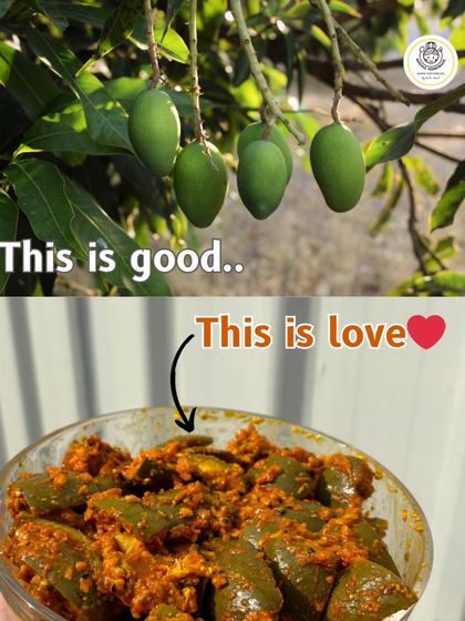 A raw mango is good, but our Ramkela Aam Achaar is love. We transform this simple fruit into a flavor-packed pickle that brings joy to every meal.