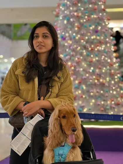 Posing in front of the beautiful Christmas decorations at the mall.