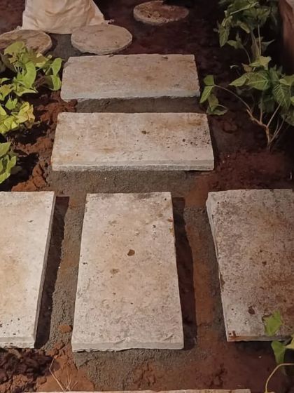 From Dirt to Dream Garden: Our Process photo 13