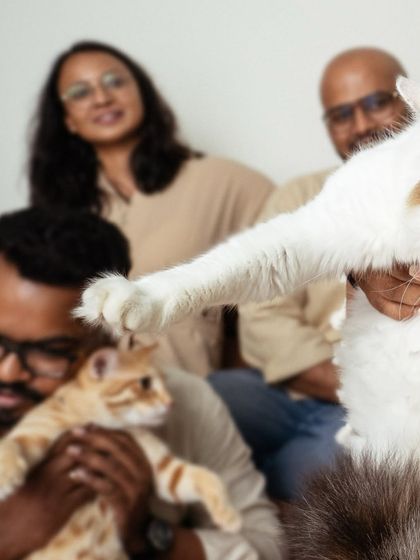 Pragalbh - Fine Art Pet Photography Feline Friends photo 8