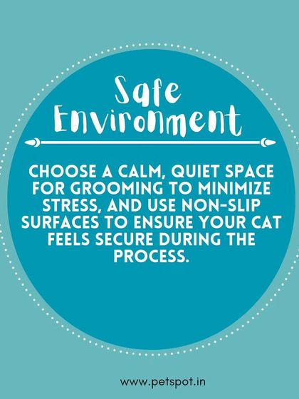 Pet Care & Grooming photo 3