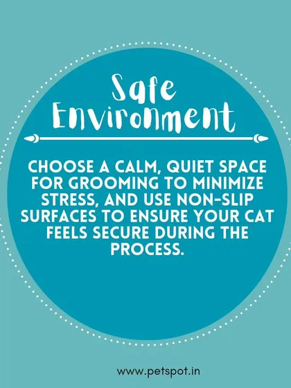 Cat Grooming Tip: Safe Environment. To minimize stress, we recommend choosing a calm, quiet space for grooming and using non-slip surfaces to help your cat feel secure.