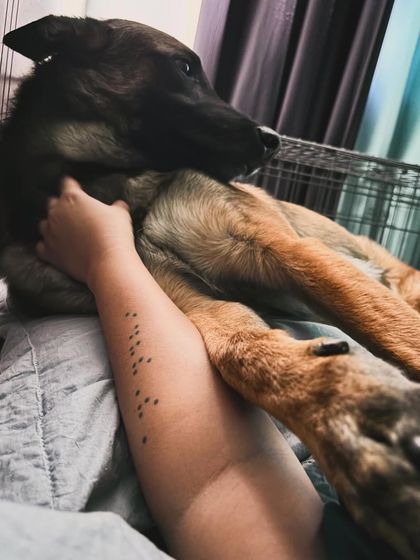 Garima Tomar - Board and Train Programs A Home Away From Home photo 10