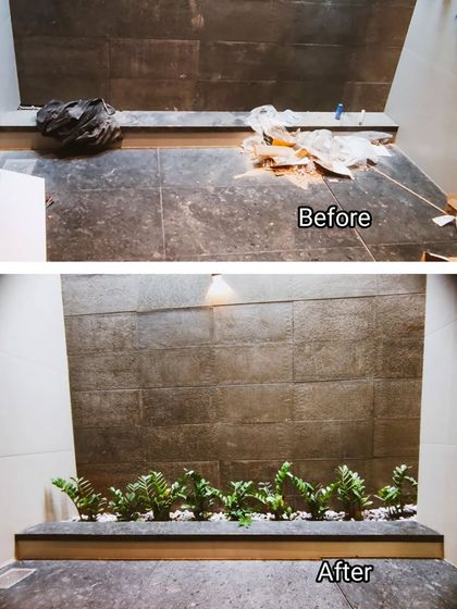 Indoor & Office Greenery photo 5