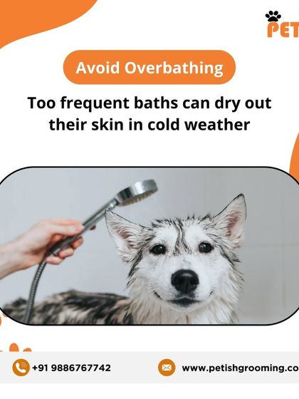 Petish Grooming - Mobile Grooming for Dogs & Cats Pet Care Tips & FAQs photo 6