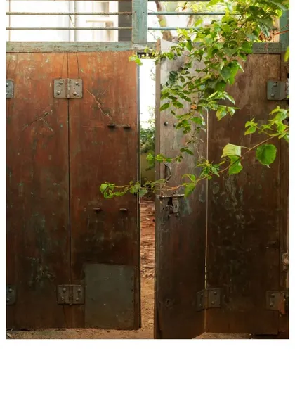Step into the harmony of nature. This upcycled wooden door, framed by climbing vines, shows how we blend our structures with the environment, letting green and brown hues create an organic charm.