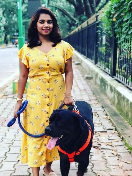 This is Max, a handsome black Lab, out for his 1-hour daily walk. We ensure every dog gets plenty of time to walk and play, making it the best part of their day.