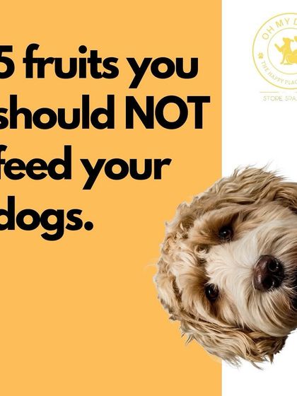 Oh My Dawg - Pet Supplies Nutrition: Food, Treats & Recipes photo 17