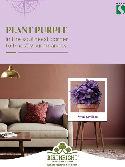 Looking to boost your finances? Vastu suggests placing a purple plant in the southeast corner of your home. We have a variety of purple picks like Aglaonema and Coleus to help you activate this energy.