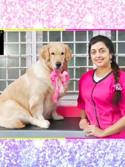 Fuzzy Wuzzy - Pet Grooming & Spa Spaniels, Retrievers & Large Breed Grooming photo 13