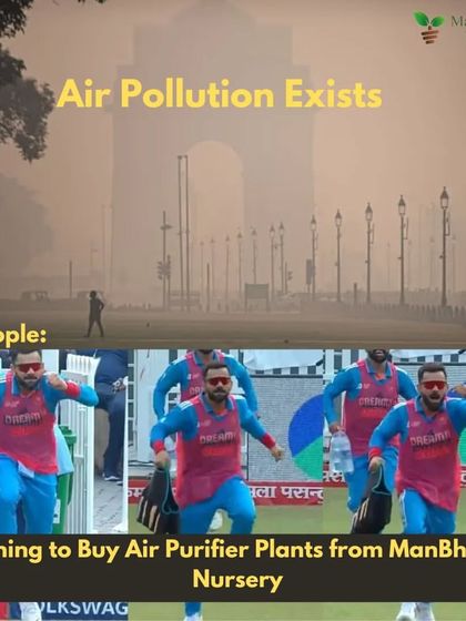 This meme is a fun take on a serious issue in Delhi. When air pollution spikes, people run to buy air purifiers, but we believe in a greener solution. Say yes to air-purifying plants!