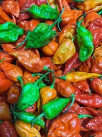 Fresh & Seasonal Northeast Produce