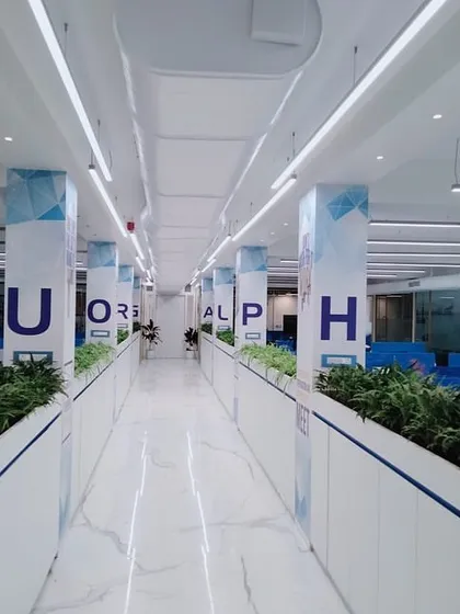 In this large open-plan office, we used custom-built planters to create natural, green dividers between workspaces. This biophilic design approach helps to define zones, reduce noise, and improve air quality without building solid walls, fostering a more collaborative and healthier work environment.