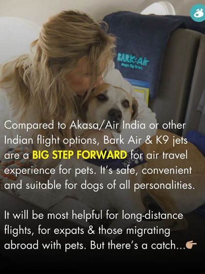 The Pack - Online Pet Parent Community Additional Resources & Updates photo 4