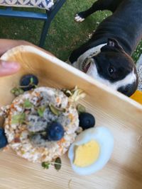 Personalized Dog Meal Delivery