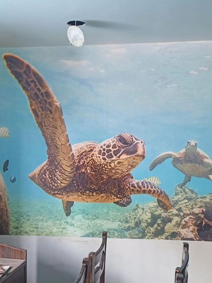 Ansari - Wallpaper & Mural Installation Nature & Floral Designs photo 50