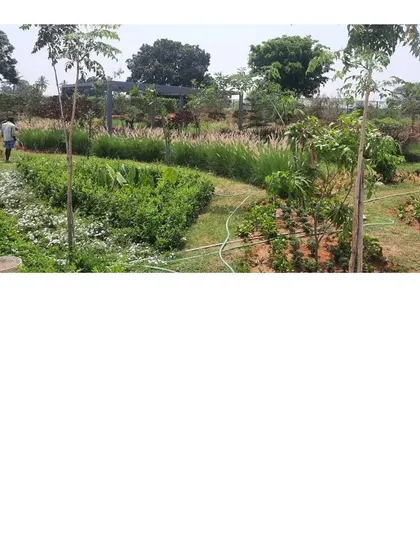 A gardener tends to the newly planted areas. Our philosophy extends to the long-term health of the landscape, which requires ongoing care and attention.