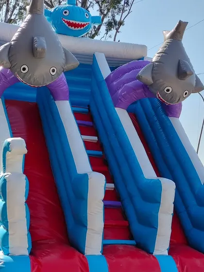 A close-up of our shark-themed inflatable slide. The design includes two big slides with smiling, cartoonish sharks at the top, perfect for a pool party or summer event.