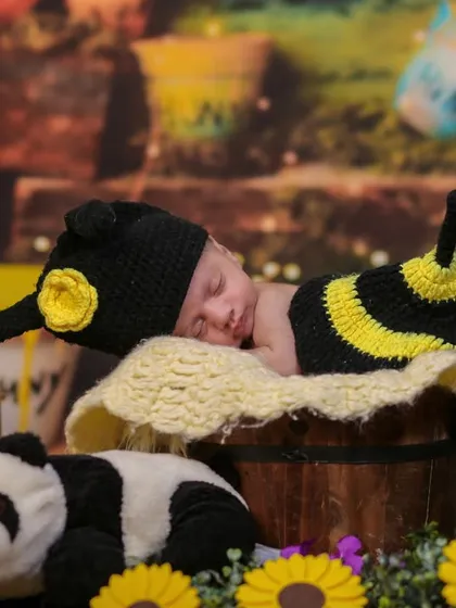 A newborn in a bee costume, sleeping peacefully in a bucket surrounded by stuffed animals like a panda and giraffe, blending different nature elements.