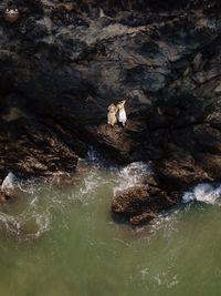 Wedding Photography & Videography