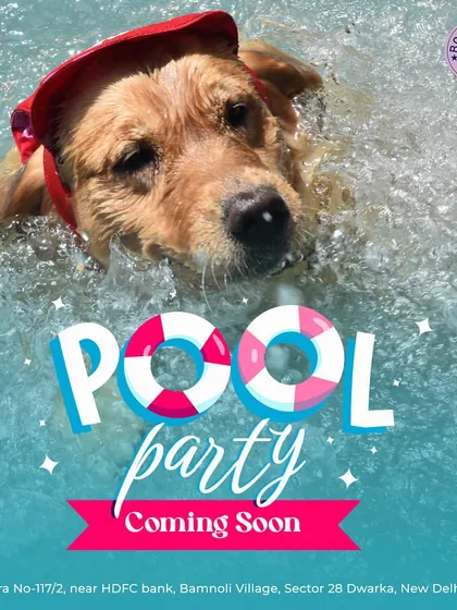 A pool party is always just around the corner. This is how we announce our upcoming events, so you can get ready to join the fun.