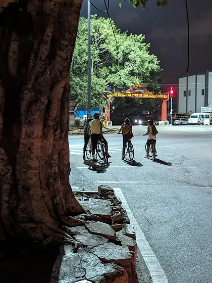 Pausing at a crossing under a large tree. Moments like these, waiting for the signal to change on an empty street, are part of the serene experience of night cycling.