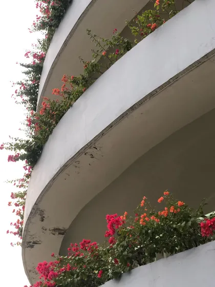 A mix of pink and orange Bougainvillea adds variety to the planting scheme on the parking structure.