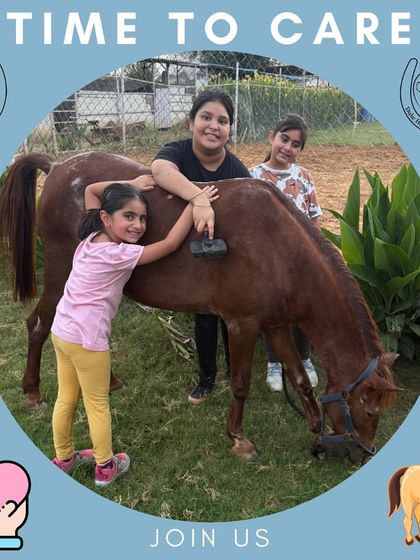 Time to care. Children learn to groom a horse together, an important lesson in responsibility and teamwork.