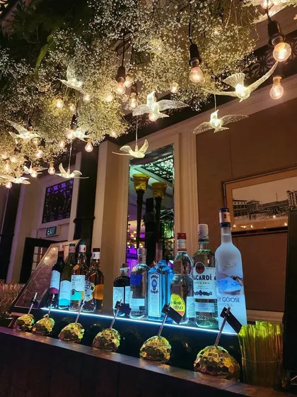 A beautifully styled bar is key to any great party. Here, the bar is set under a canopy of baby's breath and illuminated birds, creating a magical spot for guests to gather and enjoy their drinks.