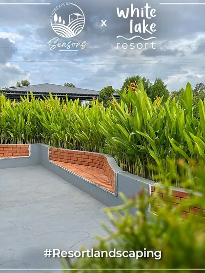 Our collaboration with White Lake Resort, where we used rows of Heliconia plants to create a natural, resort-style boundary. The result is a landscape that feels both cultivated and wild, perfectly suited for a getaway.