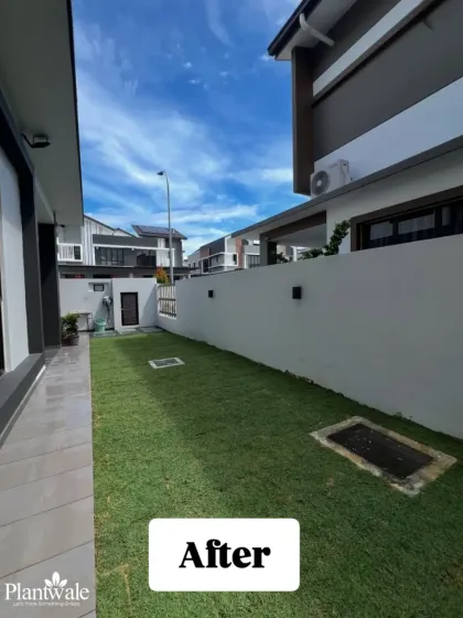 A satisfying 'After' shot of a completed lawn installation. We transformed this side yard into a clean, green, and usable space with our premium natural grass turf.