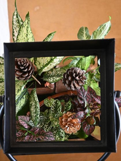 Garden Transformations photo 7