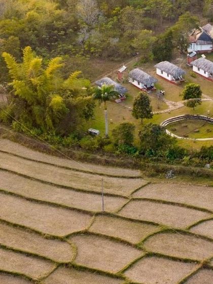 An aerial view showing the eco-cottages nestled beside terraced paddy fields in Coorg. This view highlights how the stays I choose are deeply integrated with the agricultural landscape and natural beauty of the region.