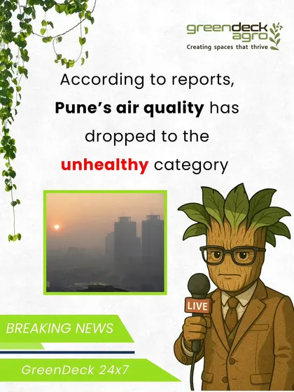 With reports of declining air quality in Pune, having indoor plants is more important than ever. They act as natural air filters, creating a healthier environment inside your home.