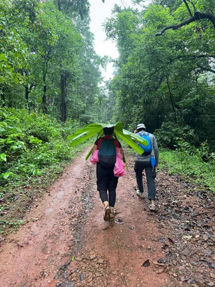 When it rains, nature provides its own umbrella! A trekker creatively uses a large leaf for cover on a muddy trail. This is the fun, resourceful spirit of trekking.
